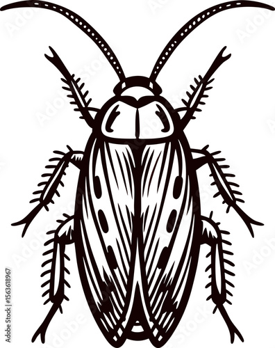 Detailed black and white hand drawn cockroach illustration with fine lines and intricate insect anatomy isolated
