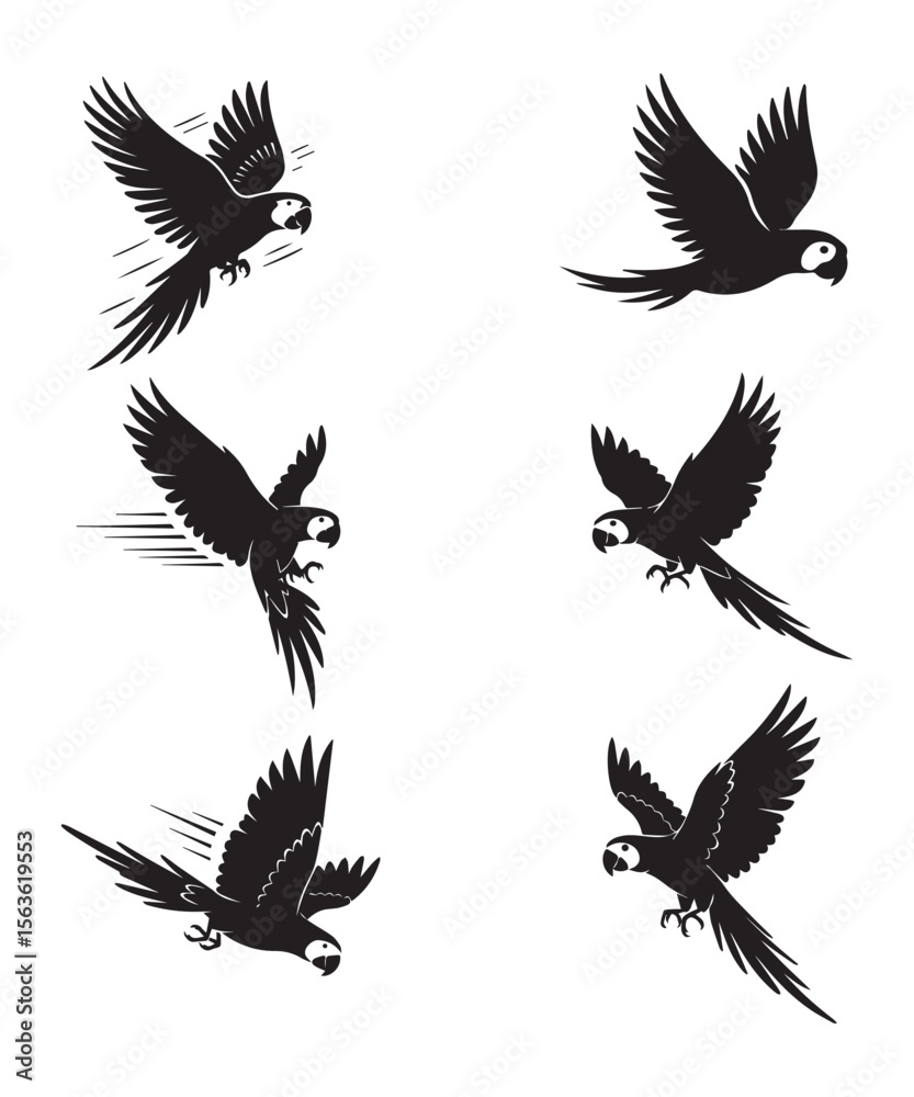 Obraz premium Flying Parrot Silhouettes Vector Collection.
