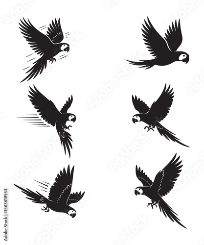 Flying Parrot Silhouettes Vector Collection.