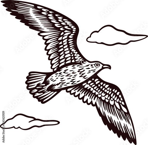 hand drawn flying seagull with wings spread and clouds on white background vintage engraving