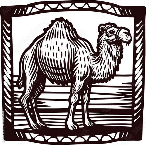 Vintage woodcut illustration of a standing camel in desert landscape with ornate border and engraved texture