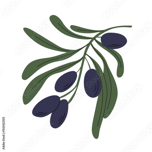 Black olives on a branch isolated. Vector illustration.	