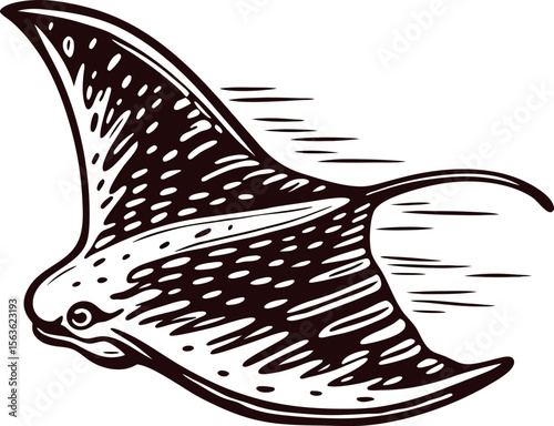 Vintage hand drawn manta ray illustration in motion detailed monochrome etching aquatic animal isolated