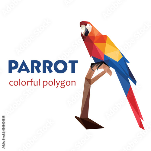Perch Beautiful parrot in Polygonal Low poly. abstract Parrot Icon Vector. Parrot Illustration Logo.