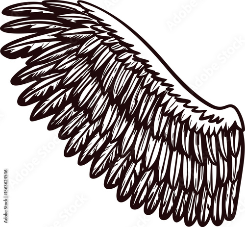 Hand drawn angel wing illustration with detailed feathers in vintage engraving isolated on white