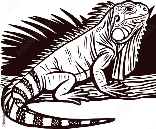 Detailed black and white iguana illustration with textured scales and spiked crest in hand drawn engraving