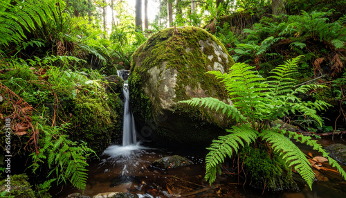 Serene Waterfall Cascading Through Lush Mossy Forest