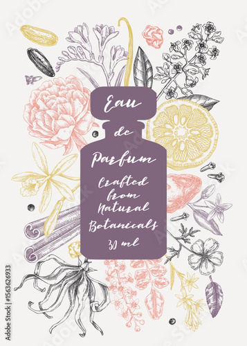 Minimalist perfume brand flyer design. Aromatic plants and flowers hand drawn vector illustration. Perfumery and cosmetics gift card, floral invitation, book cover, poster. NOT AI generated