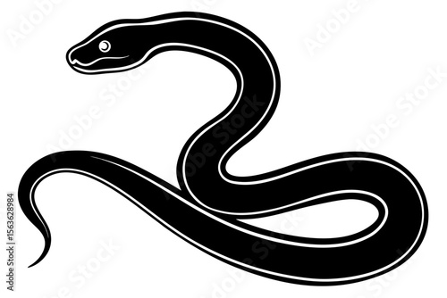 snake  silhouette vector illustration white background
