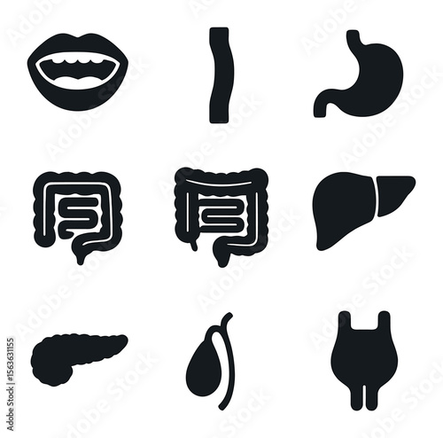 Digestive System Icons. Solid, filled icons set of digestive system organs: mouth, esophagus, stomach, small