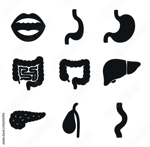 Digestive System Icons. Solid, filled icons set of digestive system organs: mouth, esophagus, stomach, small