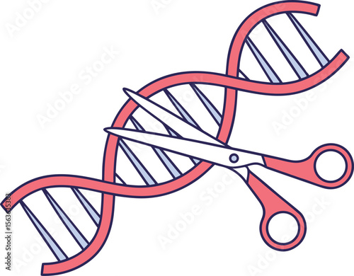 Illustration of a red and blue dna double helix being cut by a pair of red scissors representing genetic modification and medical research.