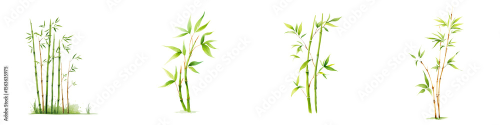 Obraz premium Bamboo Stalks Watercolor Illustration Set - Isolated on White