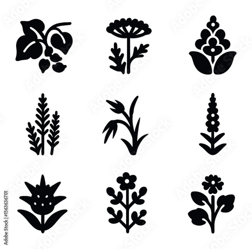 Invasive Plant Icons. Solid, filled icons set of invasive plant species: kudzu vine, giant hogweed, water