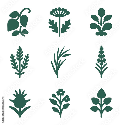 Invasive Plant Icons. Solid, filled icons set of invasive plant species: kudzu vine, giant hogweed, water