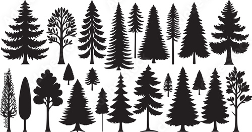 Diverse Pine and Deciduous Tree Silhouettes pine trees