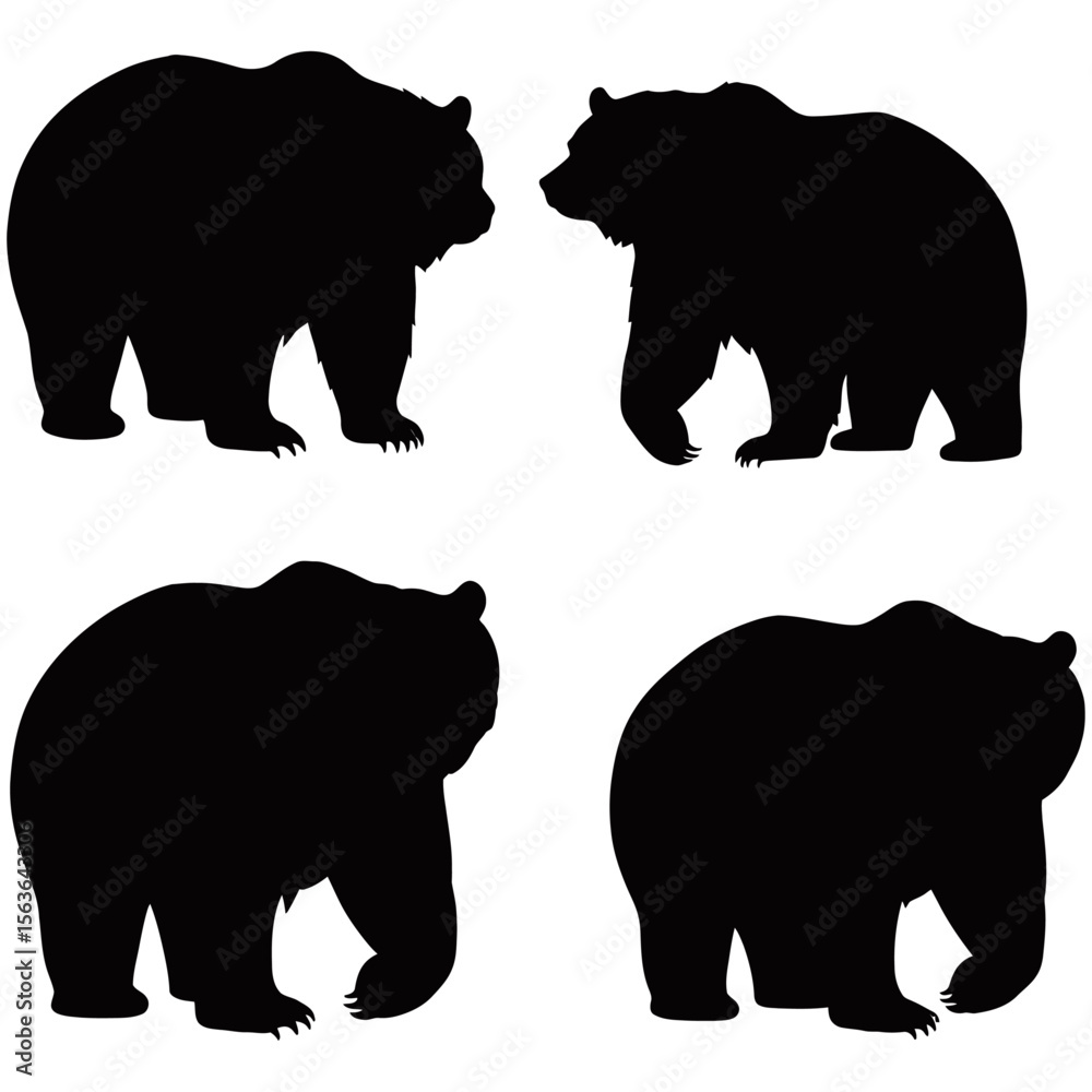Fototapeta premium Silhouettes of bear and a bear in a wildlife illustration