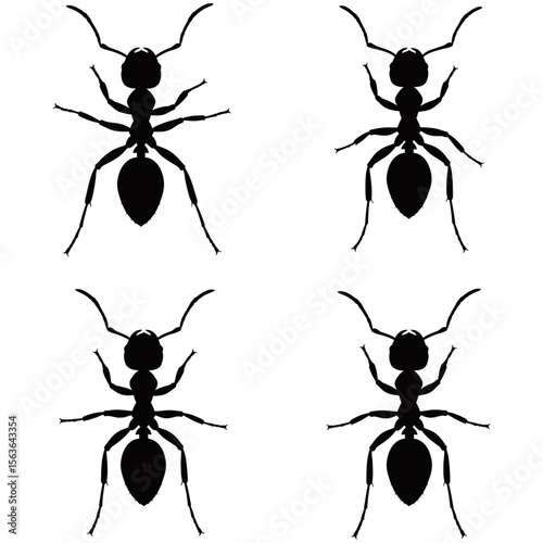 Black ants vector set, tiny insects forming a team of worker ants, with macro close-up details of their antenna, jaw, and legs against a white background