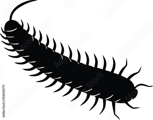 millipede silhouette vector