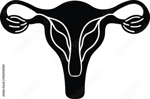 female reproductive system silhouette vector illustration