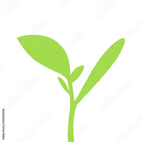 Green Sprout Emerging in Spring Sunlight

