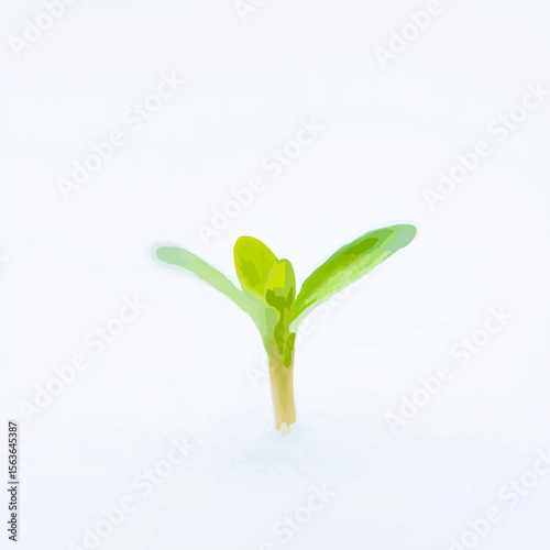 Green Sprout Emerging in Spring Sunlight

