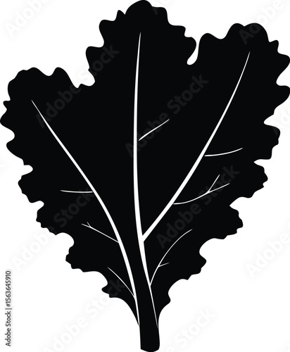 kale leaf silhouette vector illustration