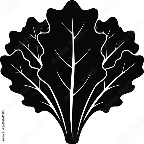 kale leaf silhouette vector