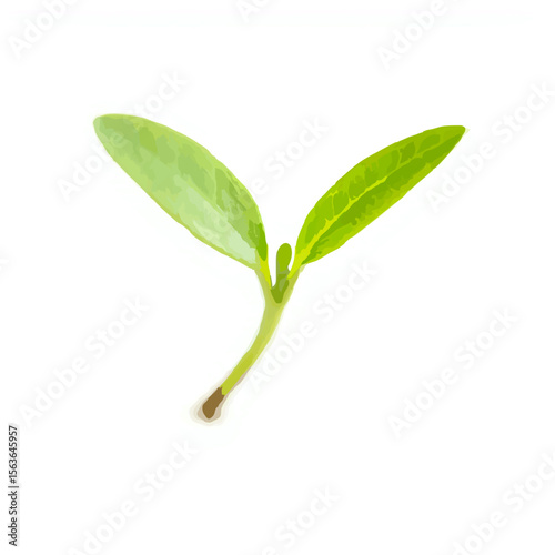 Green Sprout Emerging in Spring Sunlight

