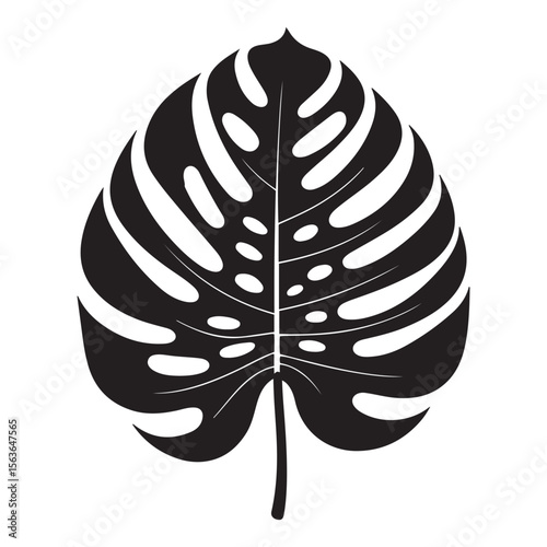 Detailed monstera leaf illustration with natural green hues