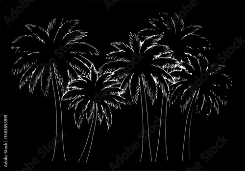 Abstract Palm Tree Silhouettes: Tropical Forms in Minimal Design