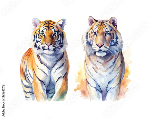 watercolor Tiger vector illustration isolated on white background
