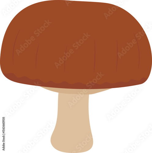 Colorful Illustrated Wild and Edible Mushrooms – Botanical Cartoon Fungi Collection