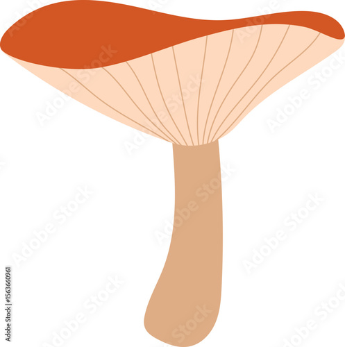 Colorful Illustrated Wild and Edible Mushrooms – Botanical Cartoon Fungi Collection