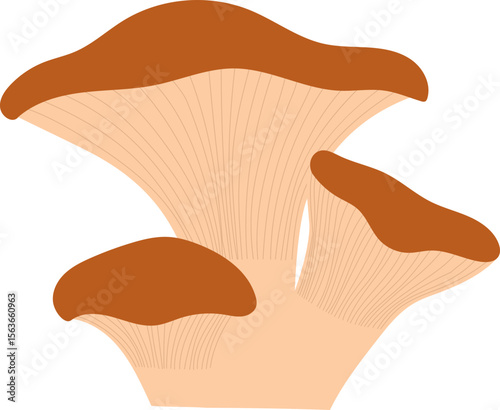 Colorful Illustrated Wild and Edible Mushrooms – Botanical Cartoon Fungi Collection