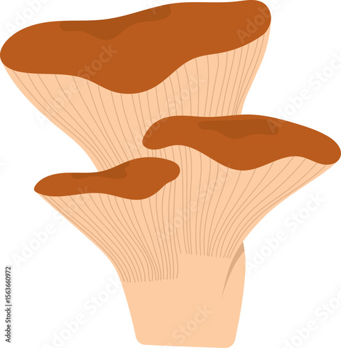 Colorful Illustrated Wild and Edible Mushrooms – Botanical Cartoon Fungi Collection