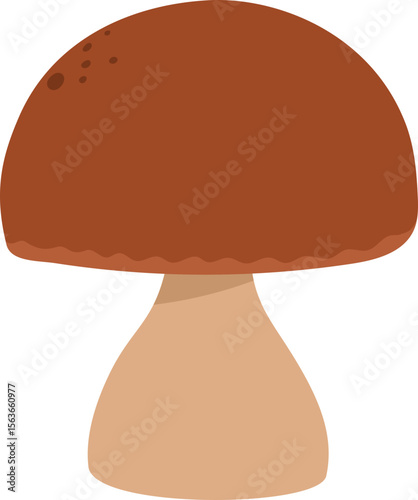 Colorful Illustrated Wild and Edible Mushrooms – Botanical Cartoon Fungi Collection
