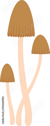 Colorful Illustrated Wild and Edible Mushrooms – Botanical Cartoon Fungi Collection
