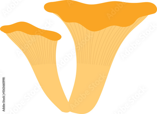 Colorful Illustrated Wild and Edible Mushrooms – Botanical Cartoon Fungi Collection
