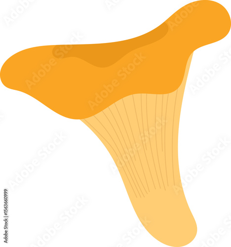 Colorful Illustrated Wild and Edible Mushrooms – Botanical Cartoon Fungi Collection