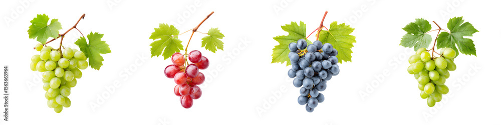 Fototapeta premium Variety of Fresh Grapes: Green, Red, and Blue on White Background