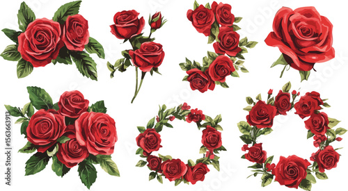 Collection of Red Rose Flower Arrangements on White Background for Valentine s Day and Wedding Designs