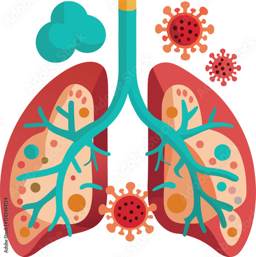  Lungs showing COVID-19 infection with inflammation, respiratory symptoms illustration, isolated on white background