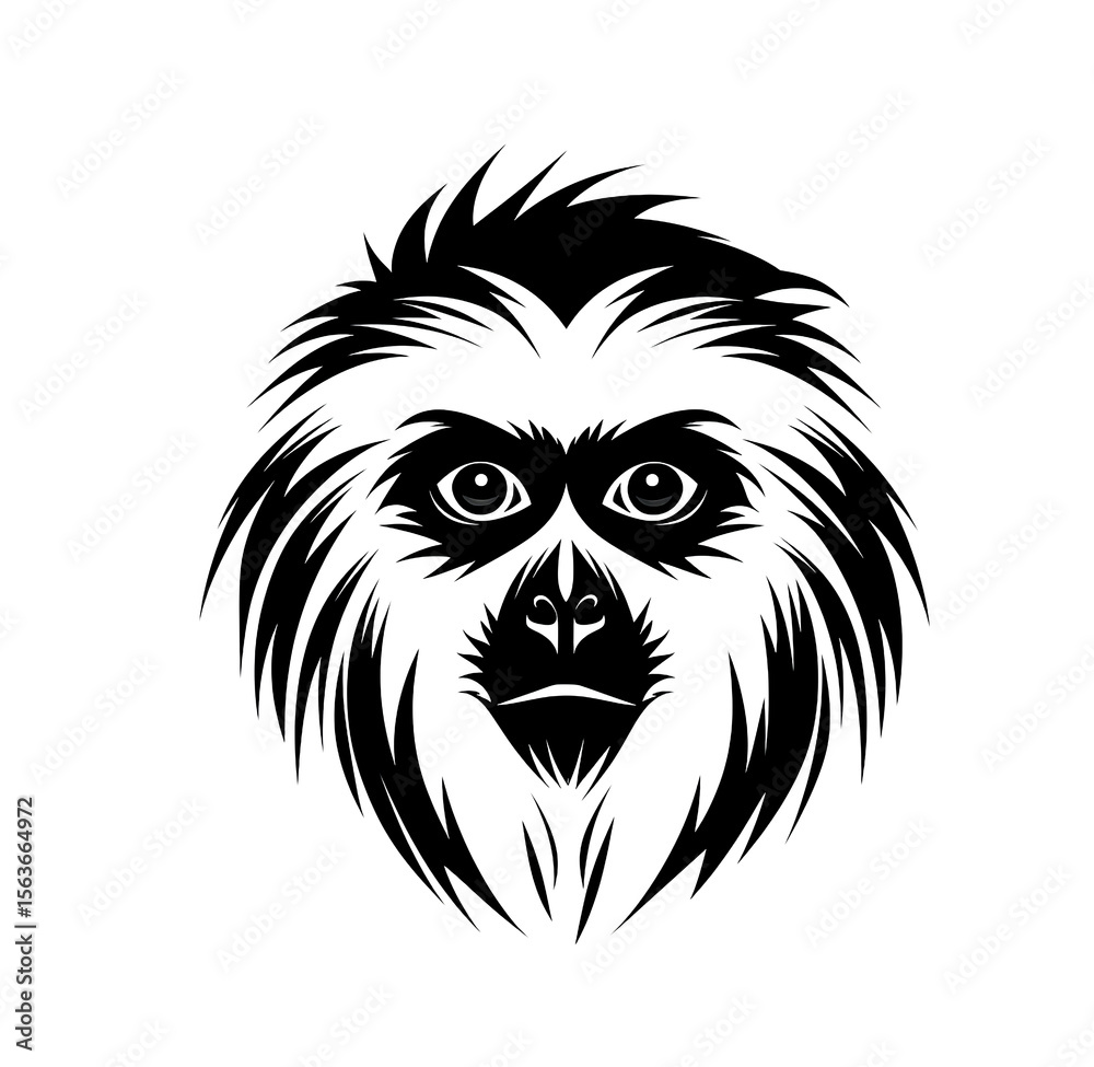 Obraz premium Black gibbon, a monkey-like primate