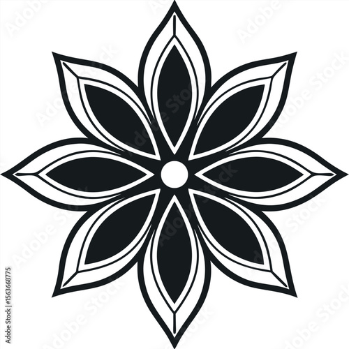 Stylized black and white star anise spice isolated on white background