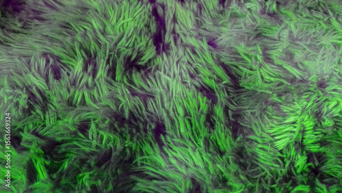 close-up texture faux fur, abstract background, design, decor