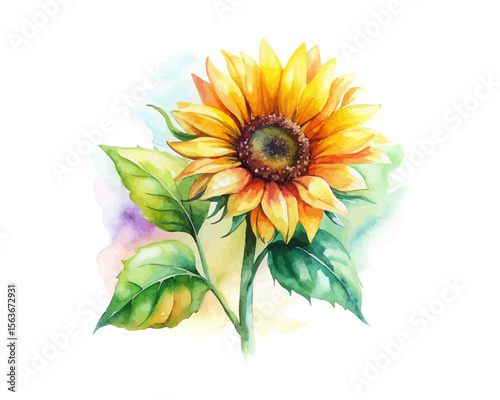 watercolor Sunflower Branch vector illustration isolated on white background