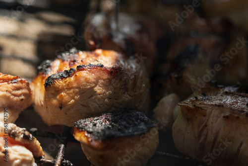cooking Meat on the grill, barbecue concept, picnic, outdoor catering