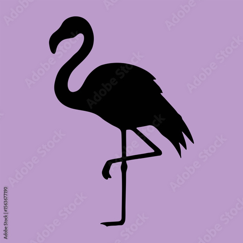 Silent wings, timeless grace  the heron’s beauty in every still moment. Graceful Heron in Flight  Symbol of Patience, Elegance, and Tranquil Waters.


