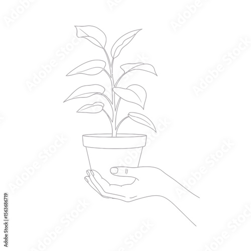 Simple outline vector illustration of human hand gently holding a potted houseplant representing organic green growth eco friendly care and nurturing positive connection with